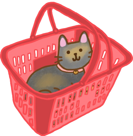 A kitty in a basket